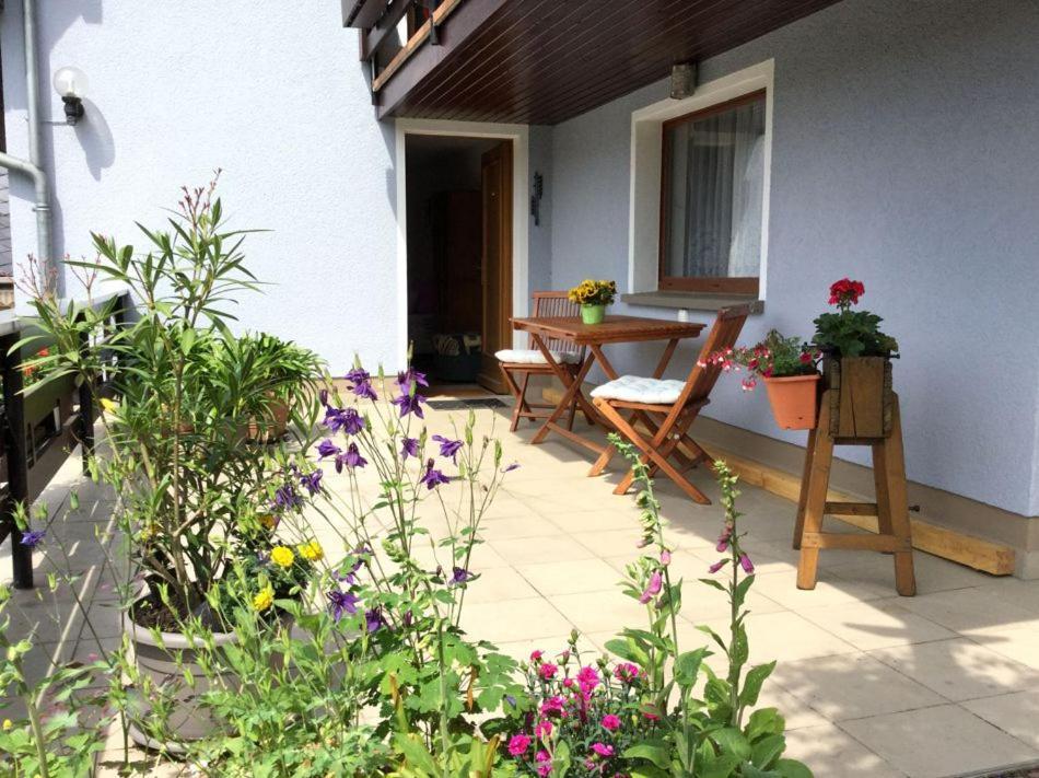 Pension Elblinge Apartment Prossen Exterior photo